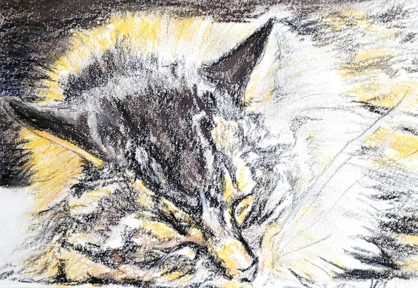 Janadi-Gonzalez-Sleepy-cat-5x7-pastel-framed