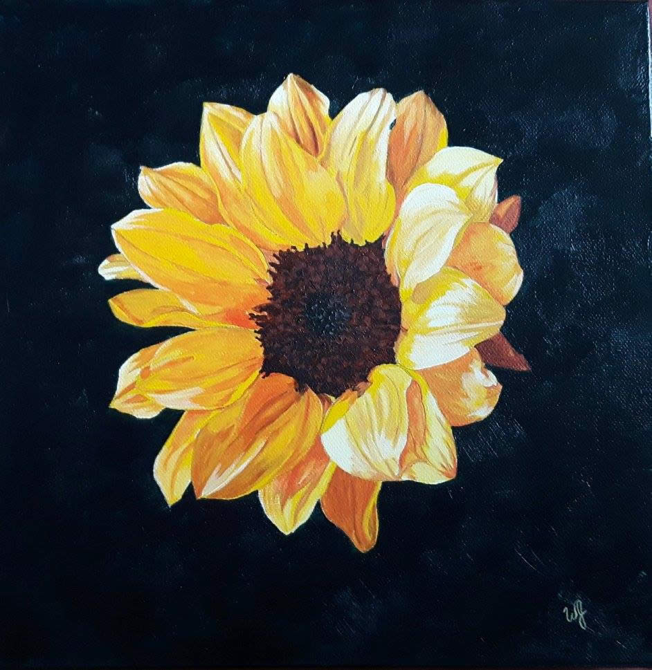 Wendy-Jennings-Sunflower