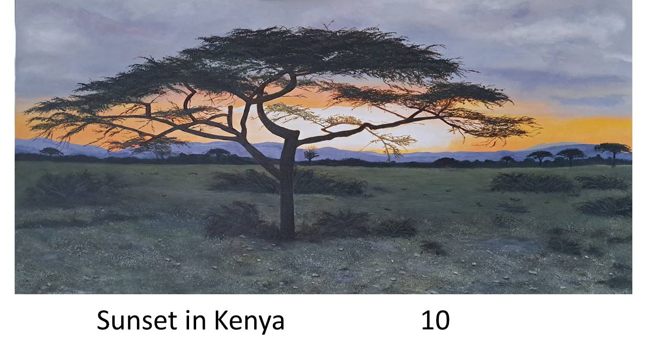 Dianne Fleming - Sunset in Kenya