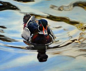 Kelly McNeil, Wood Duck